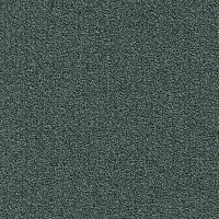 Ковровая плитка Modulyss Millennium Nxtgen Millennium Nxtgen 579 фото 1 | FLOORDEALER